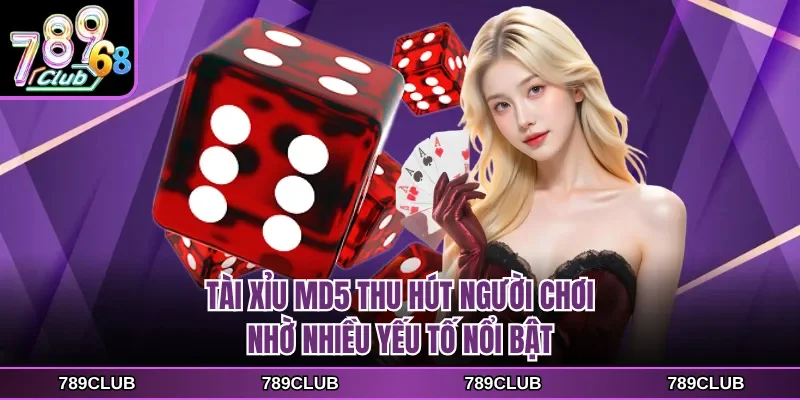 tai xiu md5 thu hut nguoi choi nho nhieu yeu to noi bat Tài xỉu MD5 thu hút người chơi nhờ nhiều yếu tố nổi bật